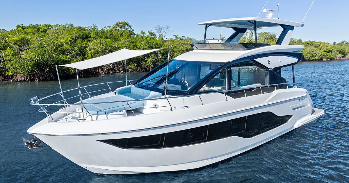 50 FLY sitting on the water