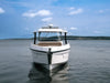 2027 Cruisers Yachts 38 VTR EC 38.0 feet, Clearwater, Florida #35